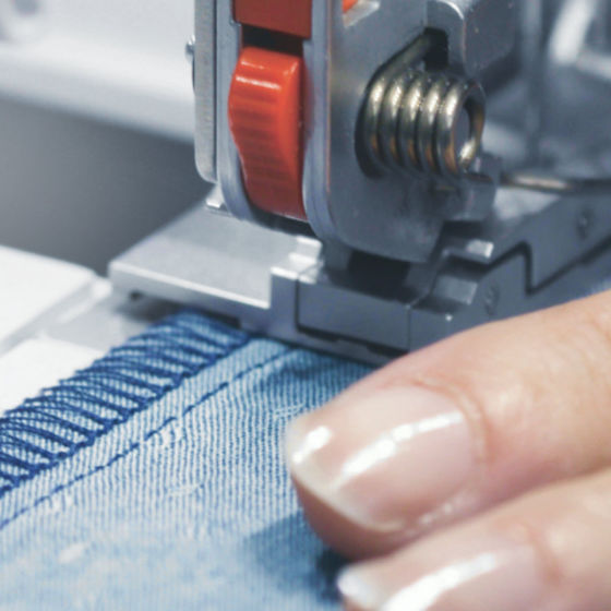 BERNINA-L890-Feature-Stiche